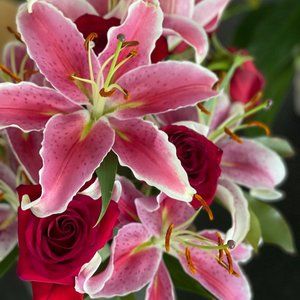 Meet your Posher, Michelle